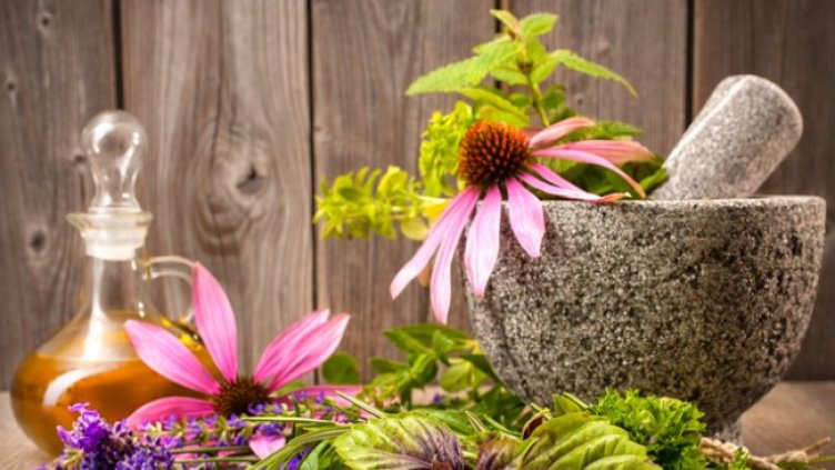 Снимка: Istock