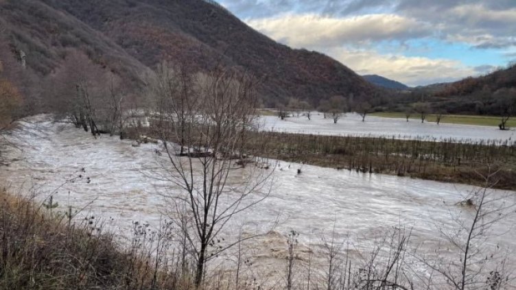 Снимка БГНЕС, архив