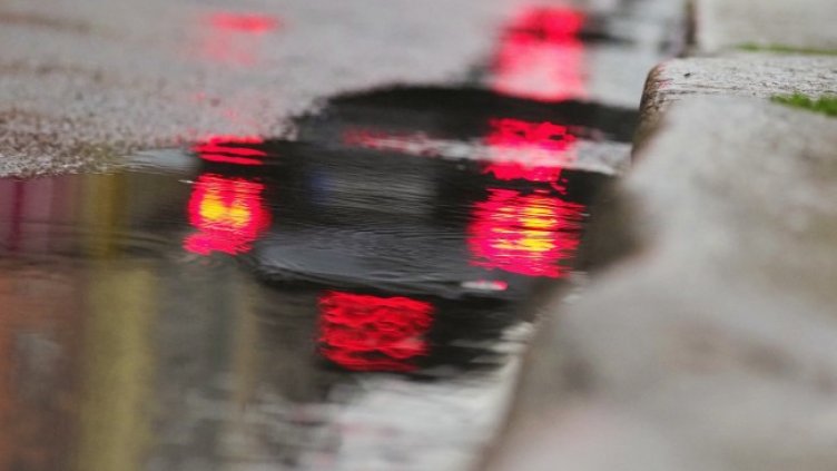 Снимка: архив, БГНЕС