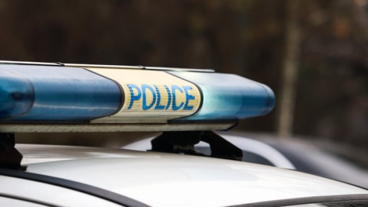 Снимка: архив, БГНЕС