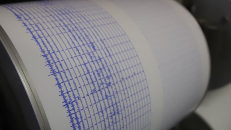 Снимка: архив, БГНЕС