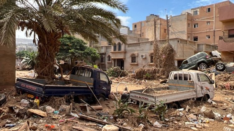 Снимка: архив, БГНЕС