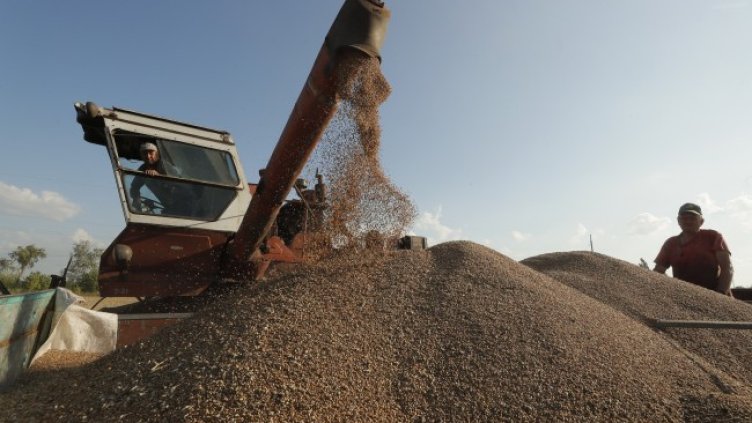 Снимка: архив, БГНЕС