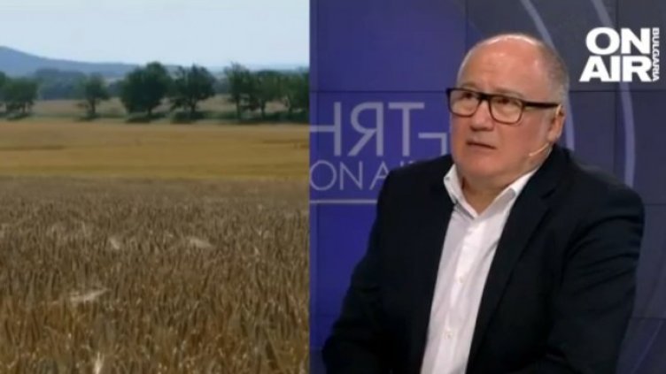 Снимка: Bulgaria ON AIR