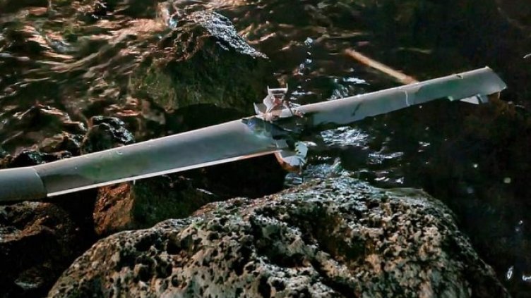 Снимка БГНЕС