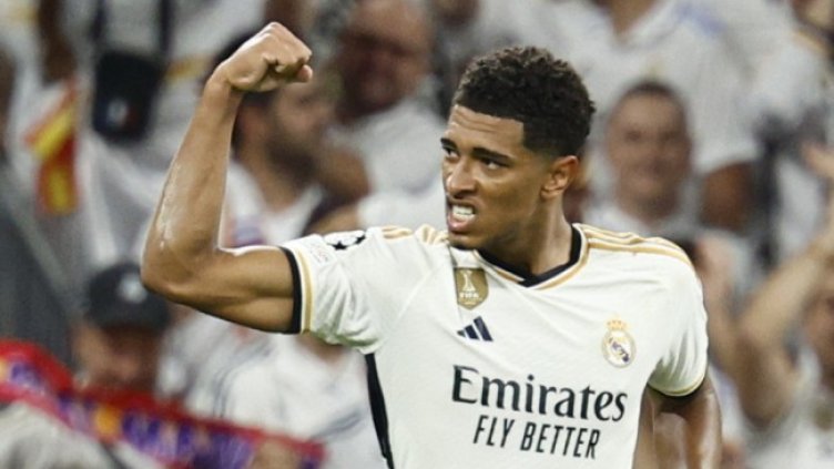 Снимка БГНЕС