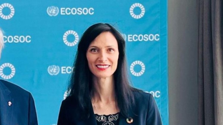 Снимка БГНЕС