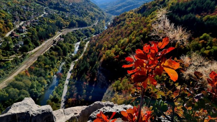 Снимка: архив, БГНЕС