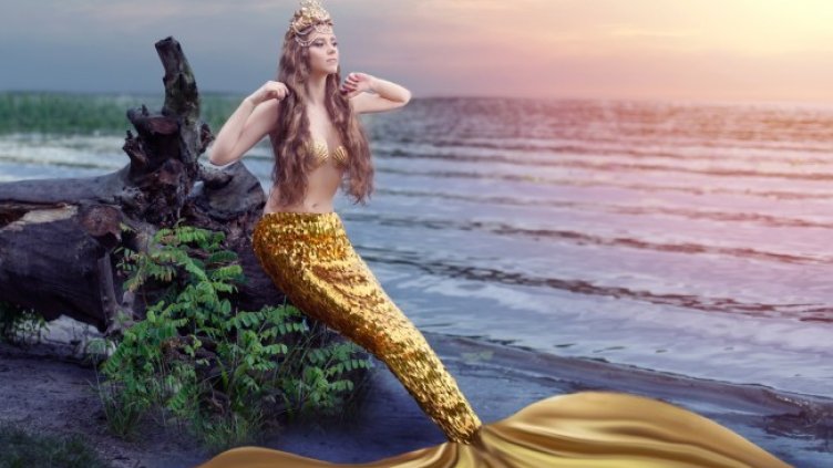 Снимка: iStock/Serenko Nata