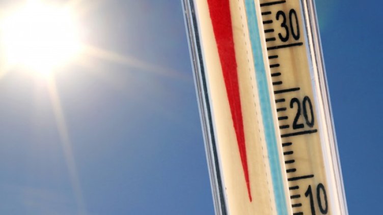 Снимка БГНЕС, архив