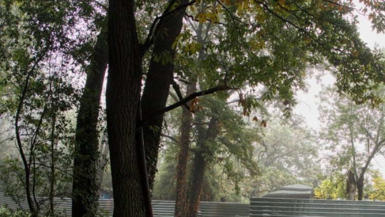 Снимка: Димитър Кьосемарлиев, Dnes.bg