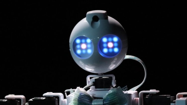 Снимка БГНЕС, архив