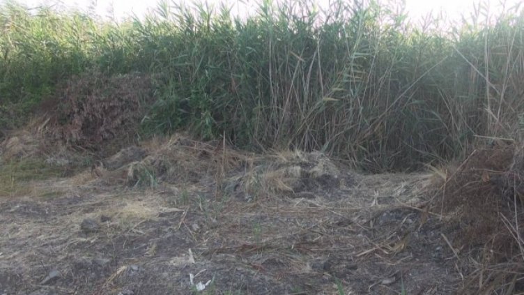 Снимка БГНЕС