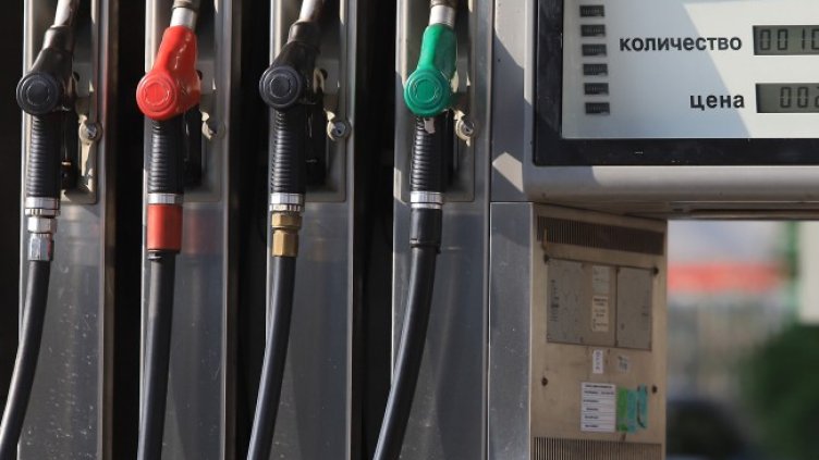 Снимка БГНЕС, архив