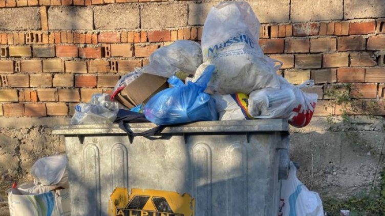 Снимка БГНЕС