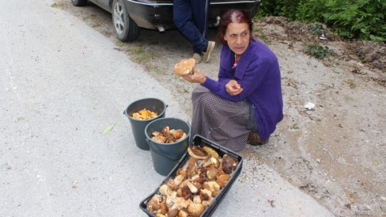 Снимка БГНЕС