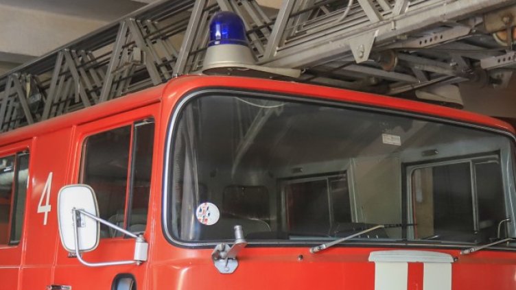 Снимка БГНЕС, архив