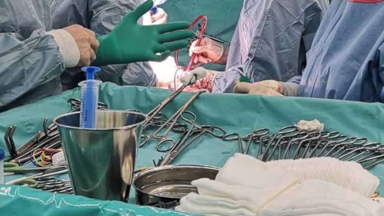 Снимка: архив, БГНЕС