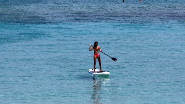 Снимка: архив, БГНЕС