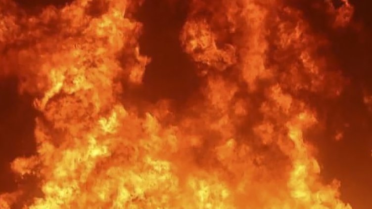 Снимка: архив, БГНЕС