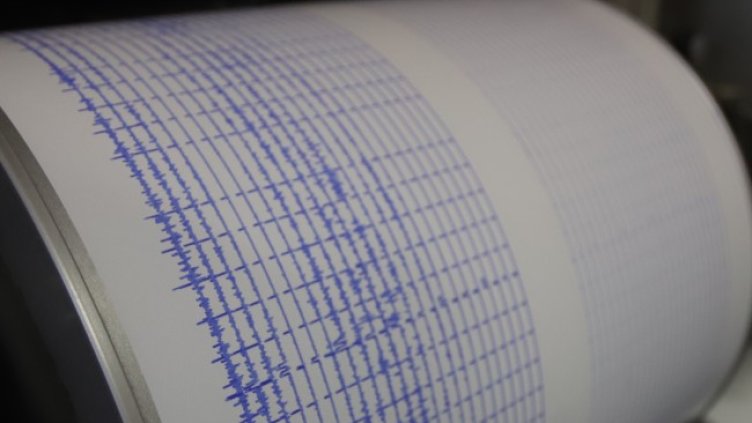 Снимка: архив, БГНЕС