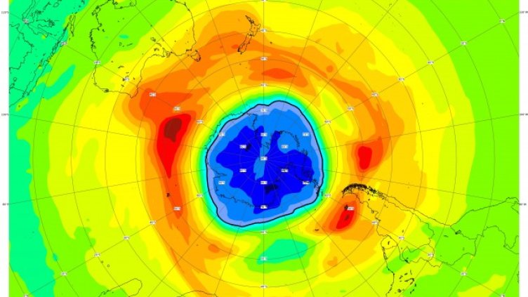 Снимка: архив, БГНЕС