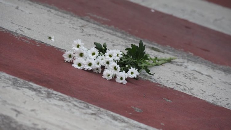 Снимка: архив, БГНЕС