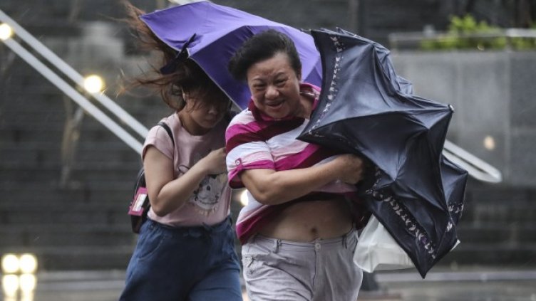 Снимка: архив, БГНЕС