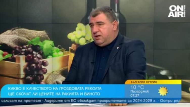 Гроздето по-скъпо тази година, но не и виното и ракията 