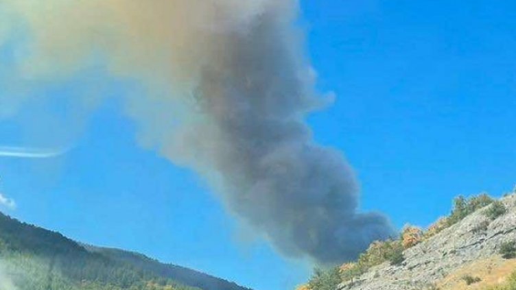 Снимка: БГНЕС