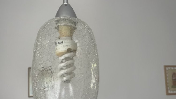 Снимка БГНЕС, архив