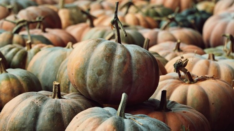 Снимка: Pixabay