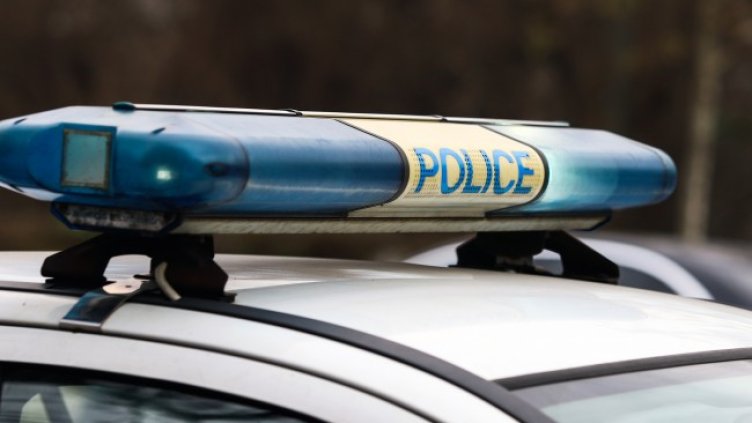 Снимка: архив, БГНЕС