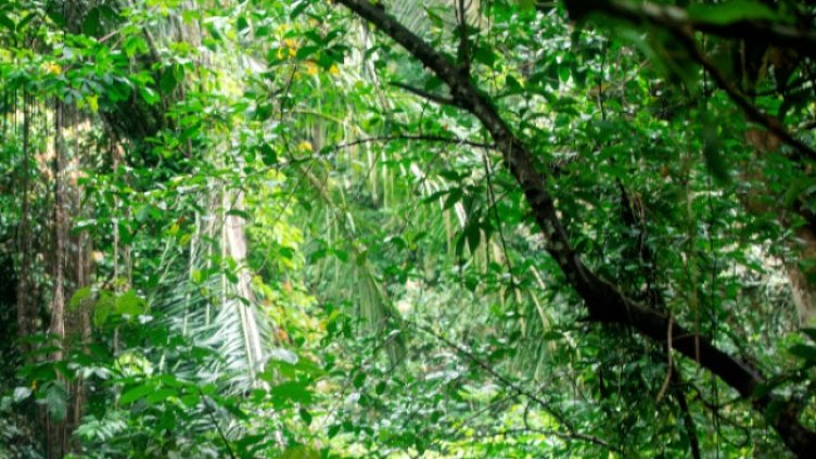 Снимка: архив, БГНЕС