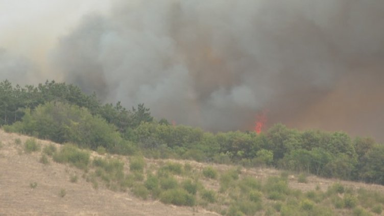 Снимка: БГНЕС