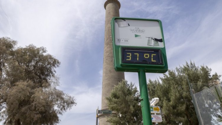 Снимка: архив, БГНЕС