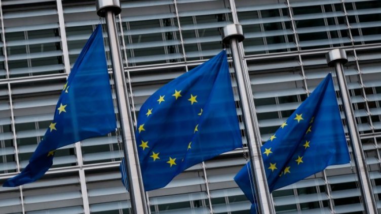 Снимка: архив, БГНЕС