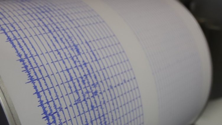 Снимка: архив, БГНЕС