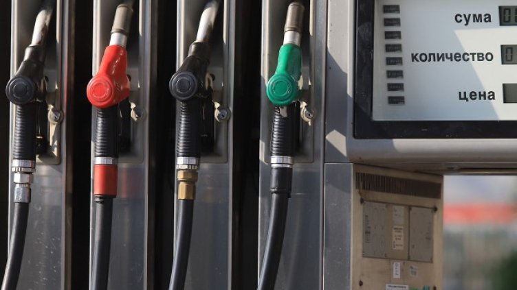 Снимка БГНЕС, архив