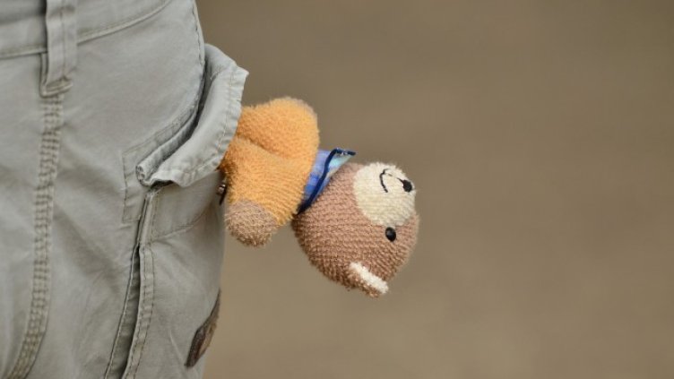 Снимка: Pixabay