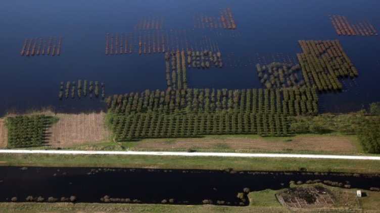 Снимка: Bloomberg TV Bulgaria