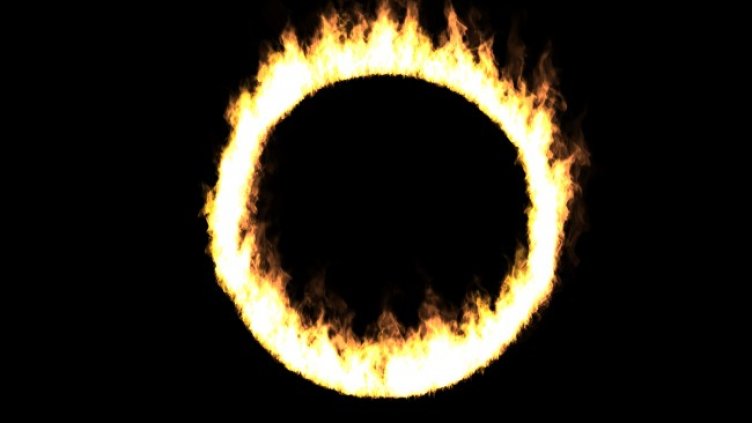 Снимка: iStock/UGUISU