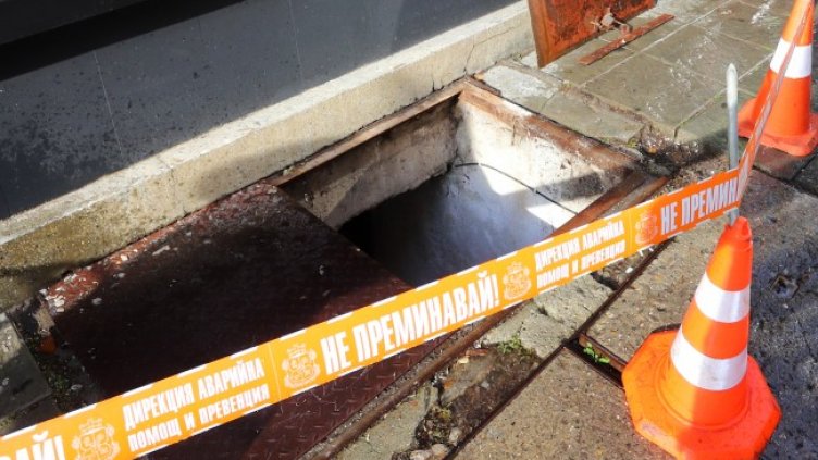 Снимка БГНЕС, архив