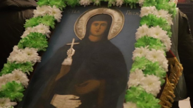 Снимка: архив, БГНЕС