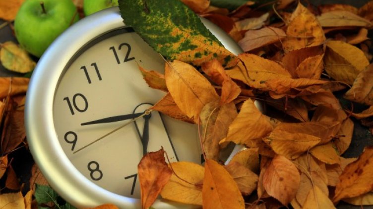 Снимка: архив, БГНЕС