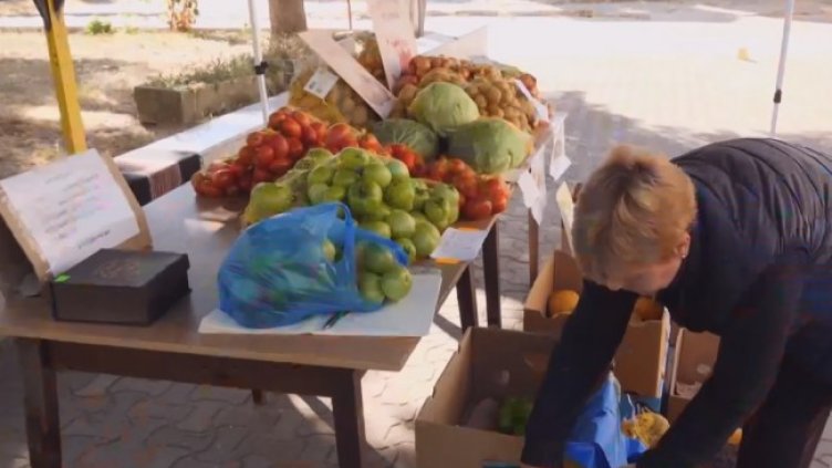 Снимка: Кадър Нова тв