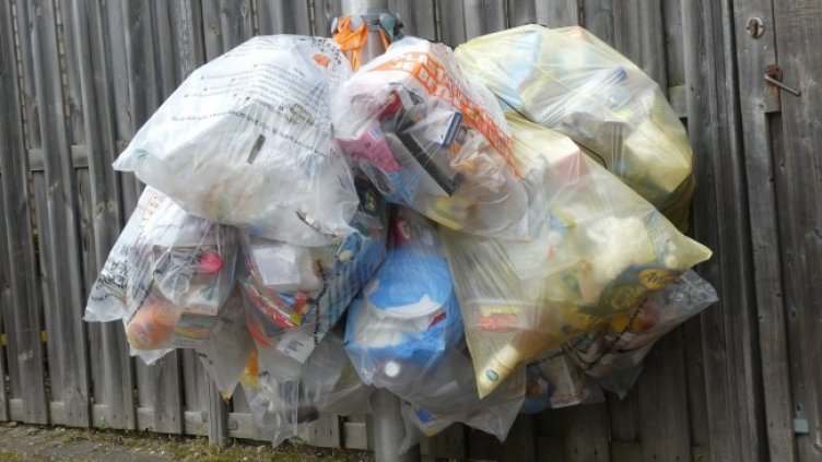 Снимка: Pixabay