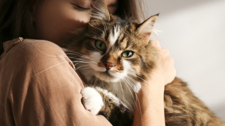 Снимка: iStock/Evrymmnt