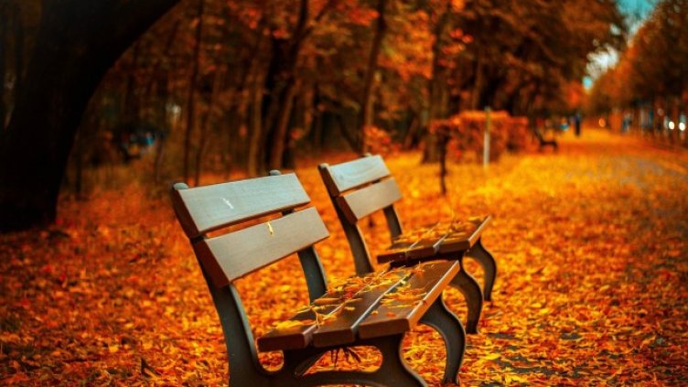 Снимка: Pixabay