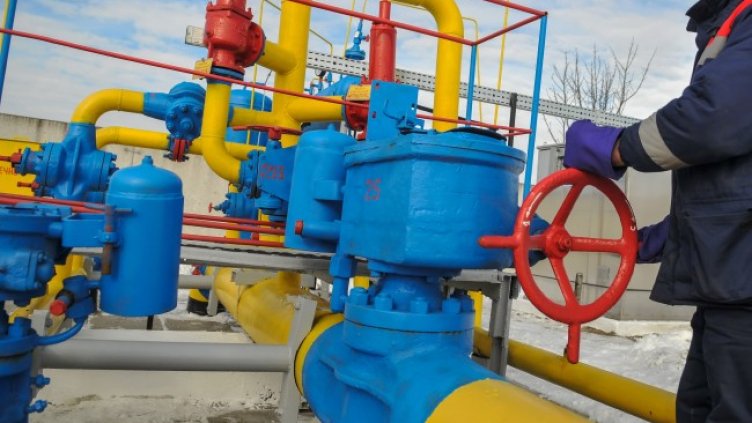 Снимка: БГНЕС, архив